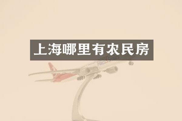 上海哪里有农民房