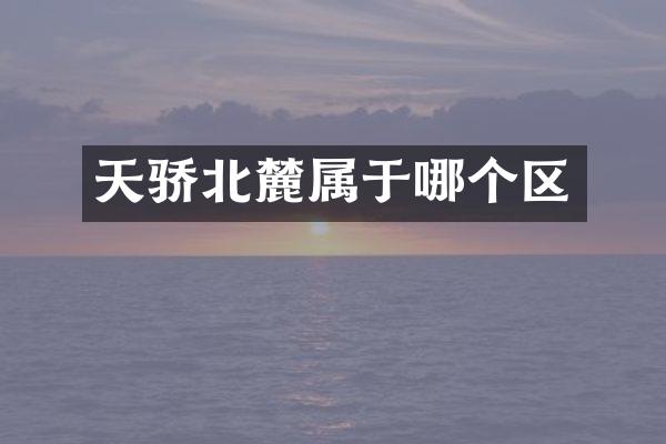 天骄北麓属于哪个区