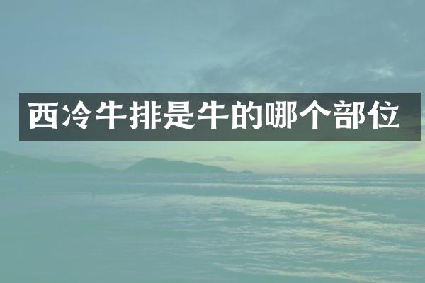 西冷牛排是牛的哪个部位