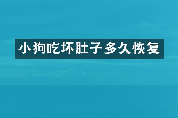 小狗吃坏肚子多久恢复