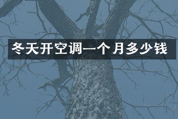 冬天开空调一个月多少钱