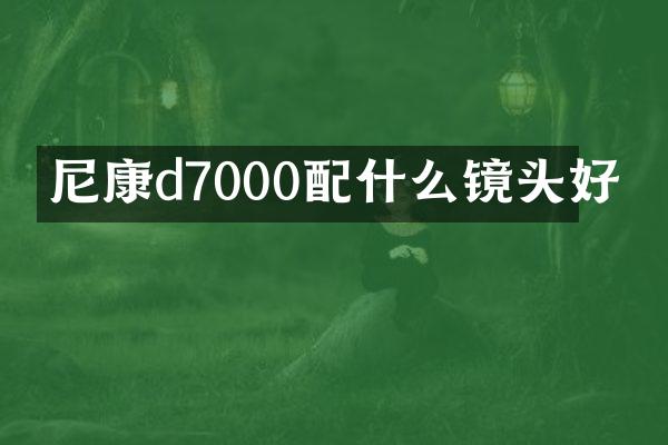 尼康d7000配什么镜头好