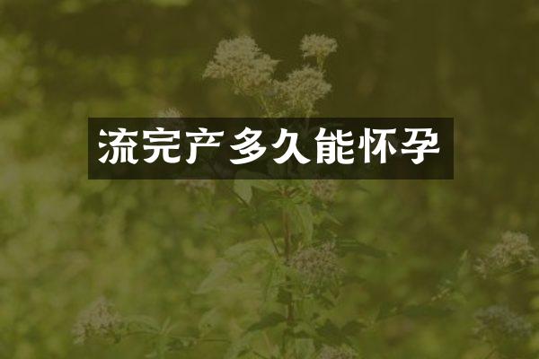 流完产多久能怀孕