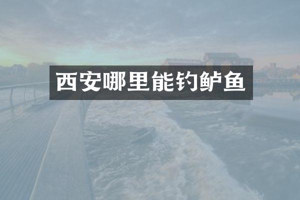 西安哪里能钓鲈鱼