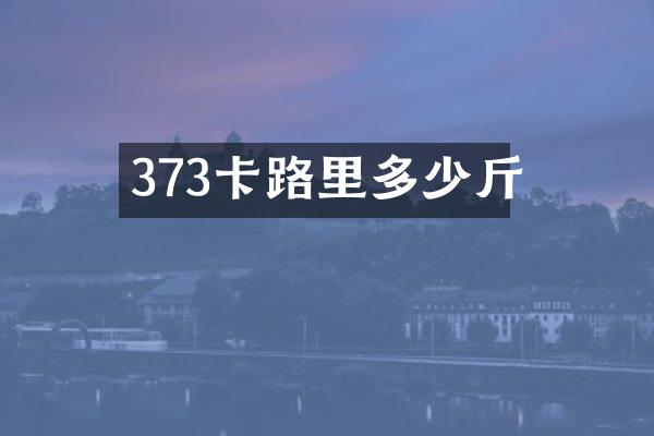 373卡路里多少斤