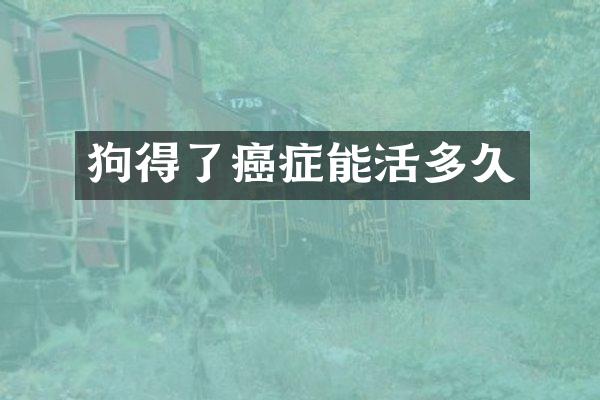 狗得了癌症能活多久