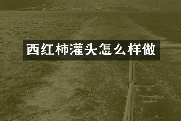 西红柿灌头怎么样做