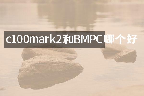 c100mark2和BMPC哪个好