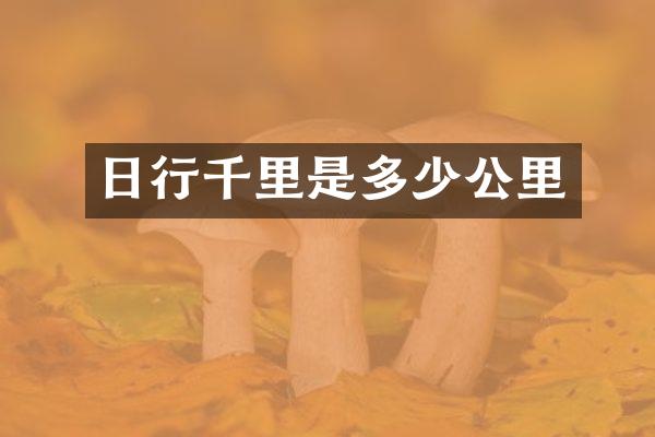 日行千里是多少公里