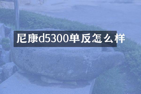 尼康d5300单反怎么样