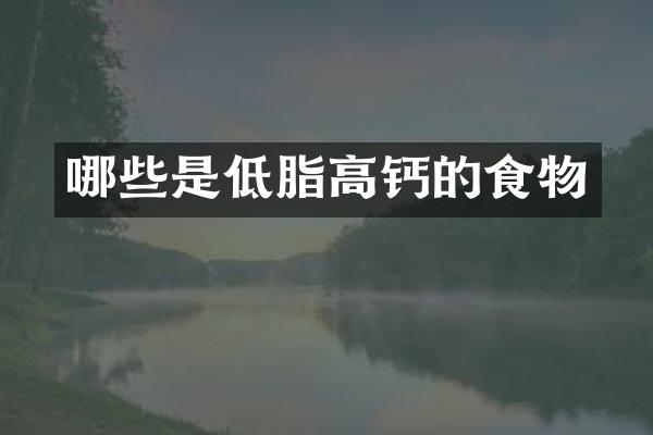 哪些是低脂高钙的食物