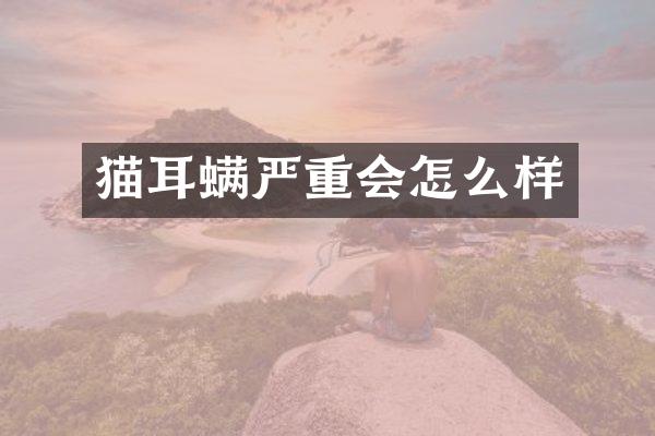 猫耳螨严重会怎么样