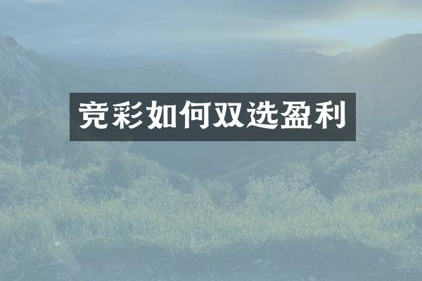 竞彩如何双选盈利