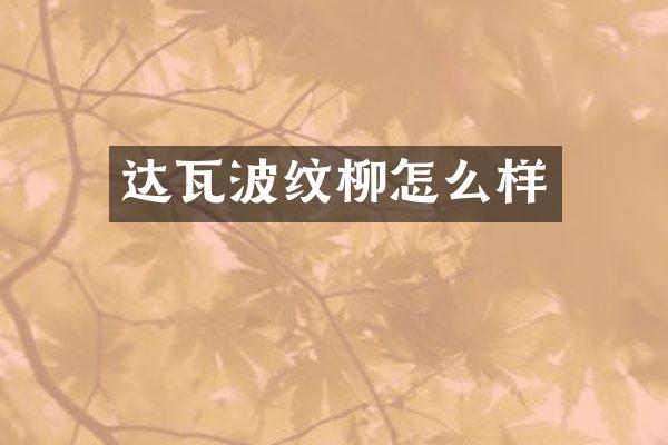 达瓦波纹柳怎么样