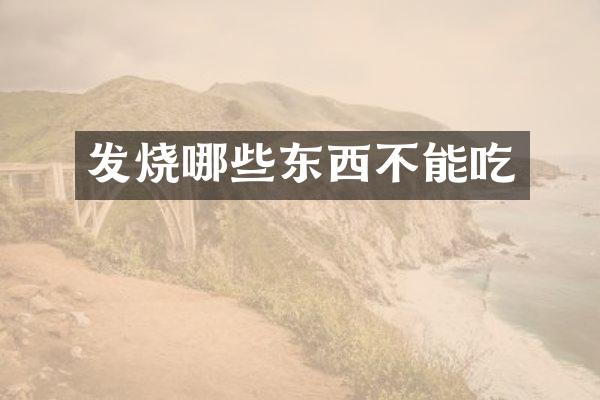 发烧哪些东西不能吃