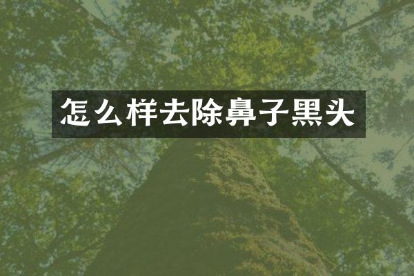 怎么样去除鼻子黑头