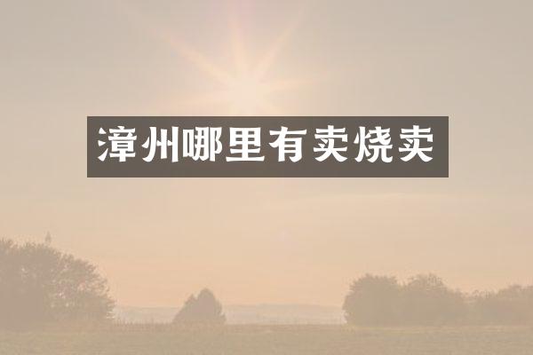 漳州哪里有卖烧卖