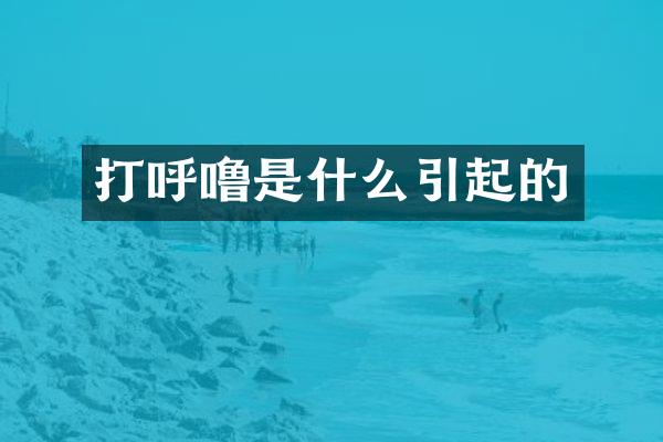 打呼噜是什么引起的