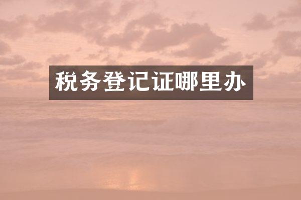 税务登记证哪里办