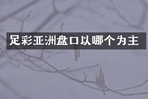 亚洲盘口以哪个为主