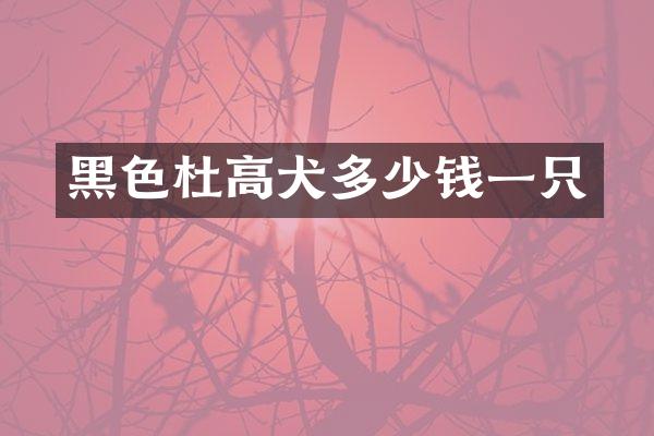 黑色杜高犬多少钱一只