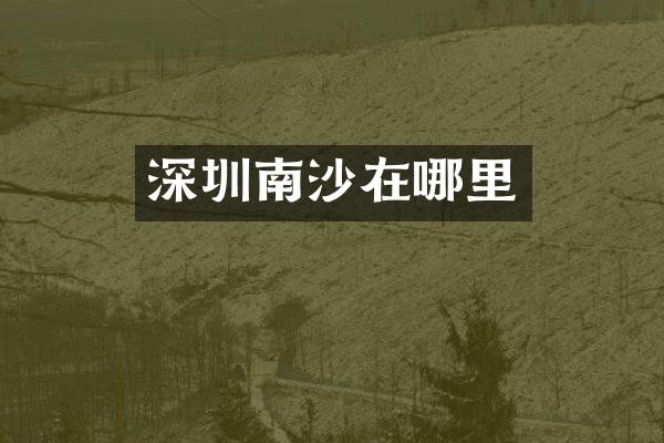 深圳南沙在哪里