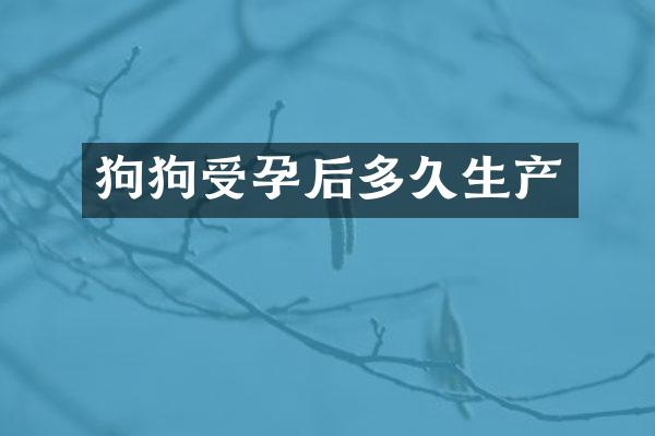 狗狗受孕后多久生产