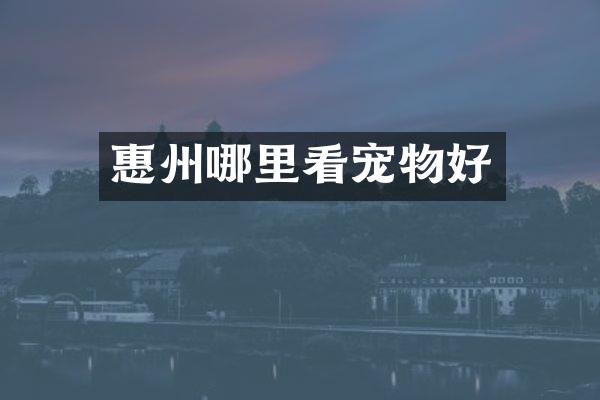 惠州哪里看宠物好