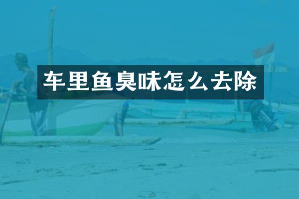 车里鱼臭味怎么去除