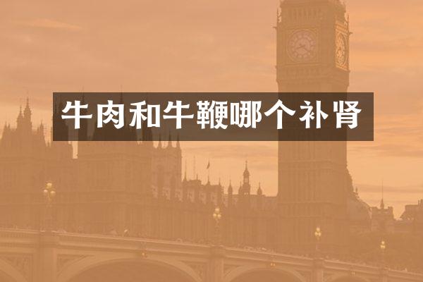 牛肉和牛鞭哪个补肾