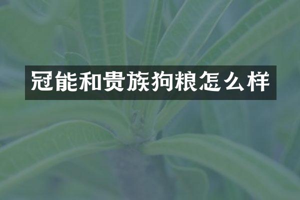 冠能和贵族怎么样
