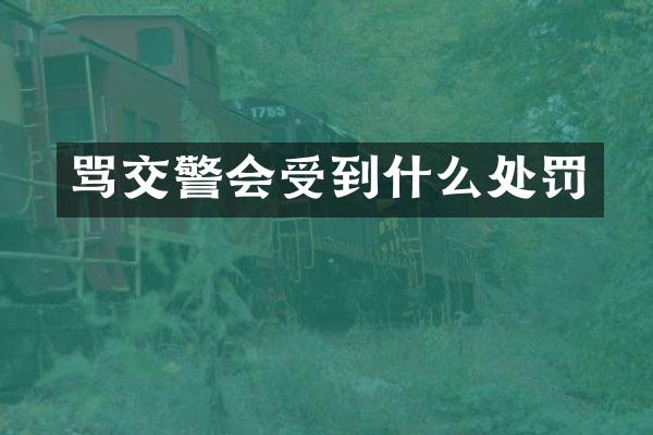 骂交警会受到什么处罚