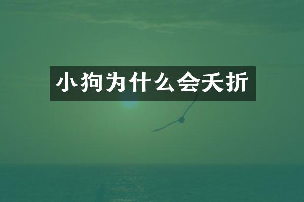 小狗为什么会夭折