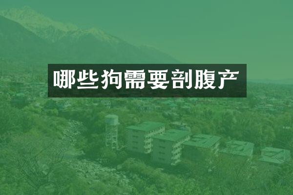 哪些狗需要剖腹产