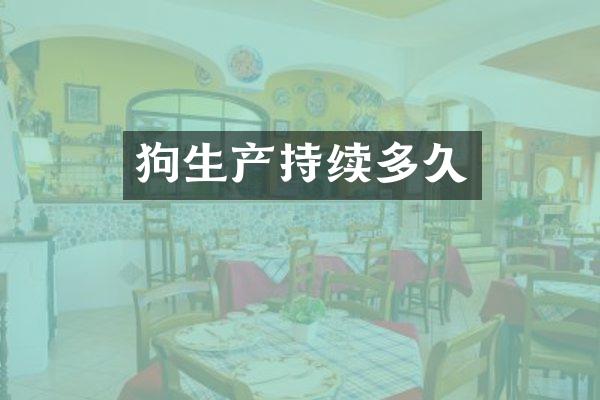 狗生产持续多久