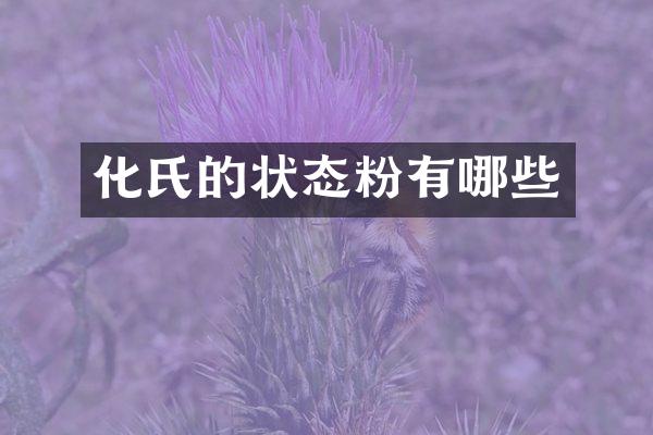 化氏的状态粉有哪些