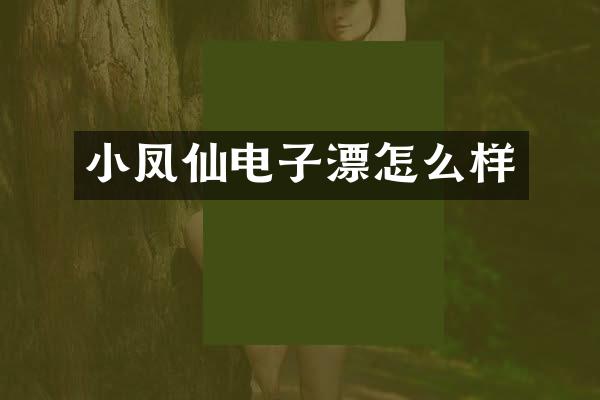 小凤仙电子漂怎么样