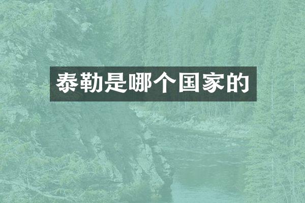 泰勒是哪个国家的