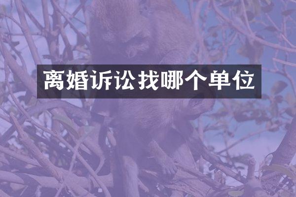 离婚诉讼找哪个单位