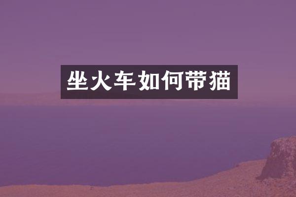 坐火车如何带猫