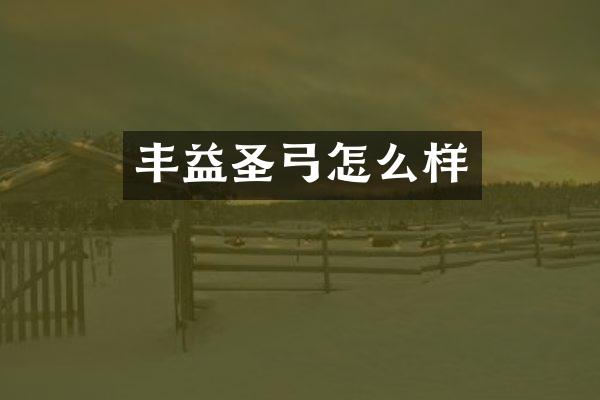 丰益圣弓怎么样