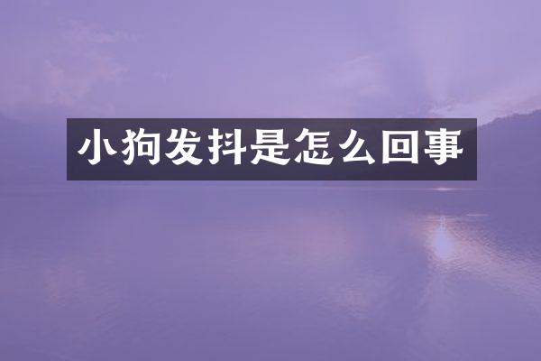 小狗发抖是怎么回事