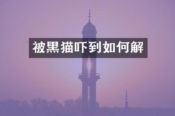 被黑猫吓到如何解