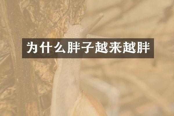 为什么胖子越来越胖
