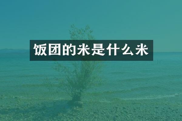饭团的米是什么米