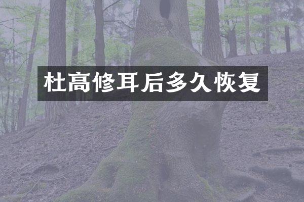 杜高修耳后多久恢复