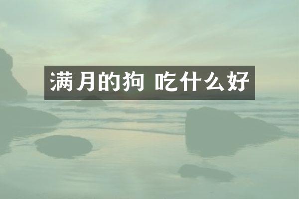 满月的狗 吃什么好