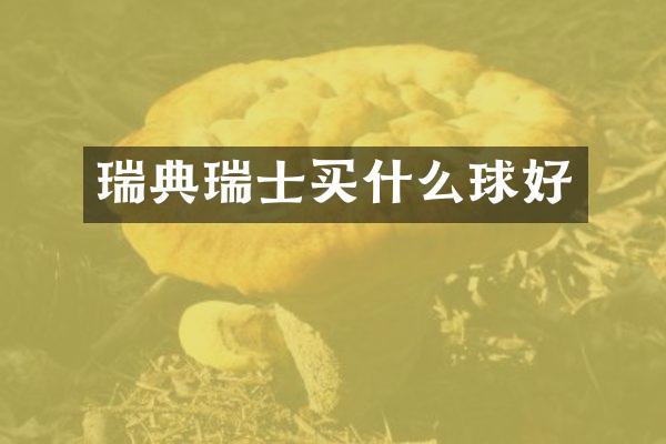 瑞典瑞士球好