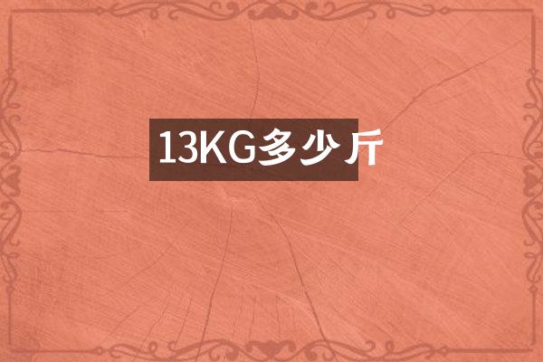 13KG多少斤