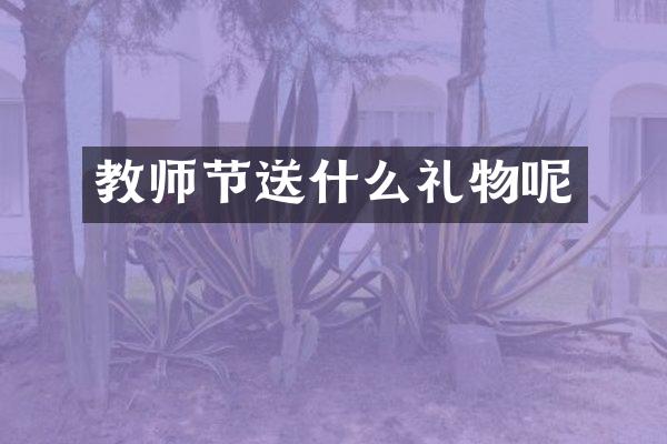教师节送什么礼物呢